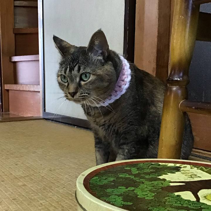 6d4b9b4b d794 40c0 9890 67e88ef3e4b1 1749974352877