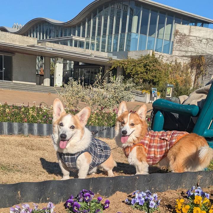 6d4bcbbf 9064 4558 b76d 270ab5bfab1b 1767518268459