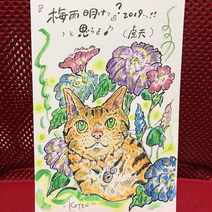 6d4bd310 0cf6 4b5d 8a8e 94cbe7561616 1563972828345