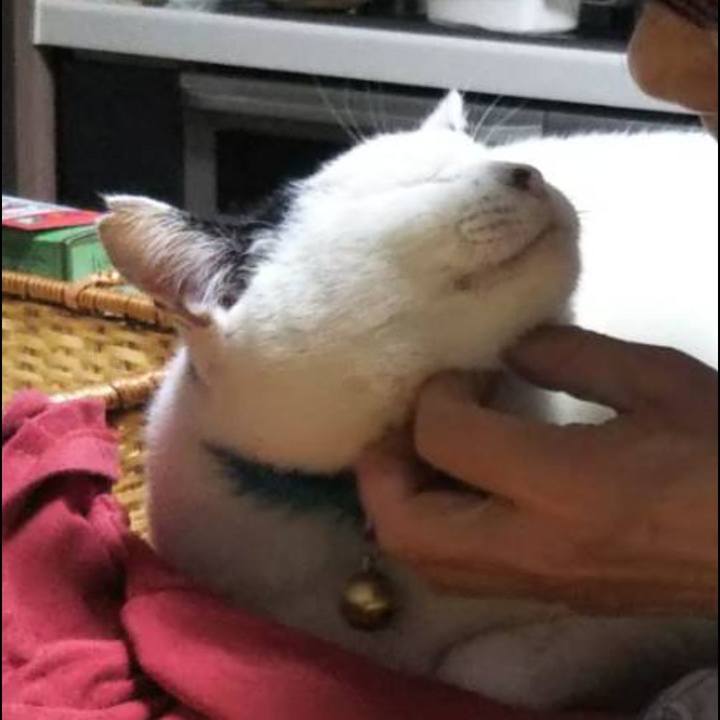 6d4c5f32 4ae7 42d9 8668 ddfbf7355123 1589214260619