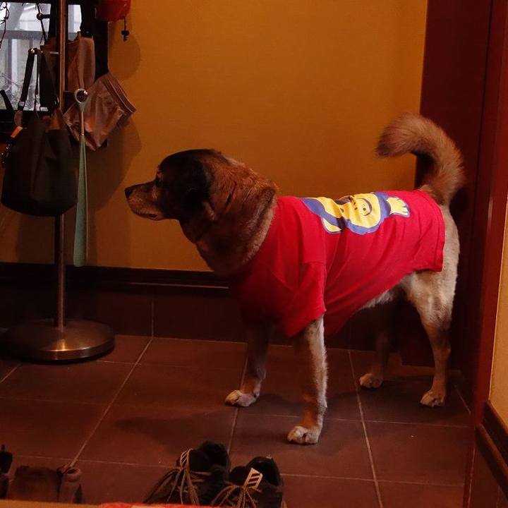 6d4c9ca5 59eb 435c 99ed d5ad8a8d8a83 1521595308988