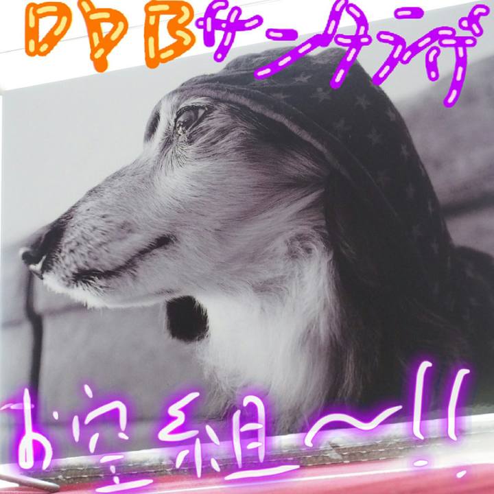 6d4cb6cd 20ab 4cc1 8f82 7e97cbec4759 1577022625909