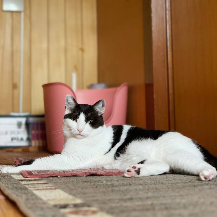 6d4cc3b4 4ef4 4b5a 9f44 8ba4ac86c685 1599966333385