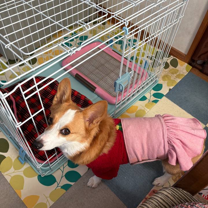 6d4cc920 a4a4 4b27 be5e ec381820c869 1766359796988