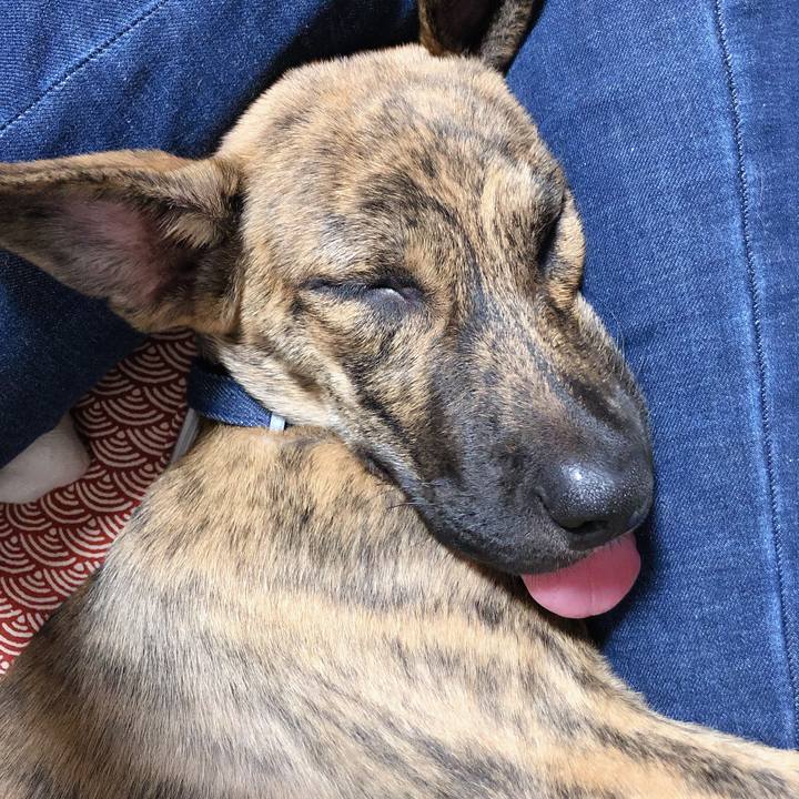 6d4ce199 18f0 4b56 b54b 173f4af55fb1 1570805566889