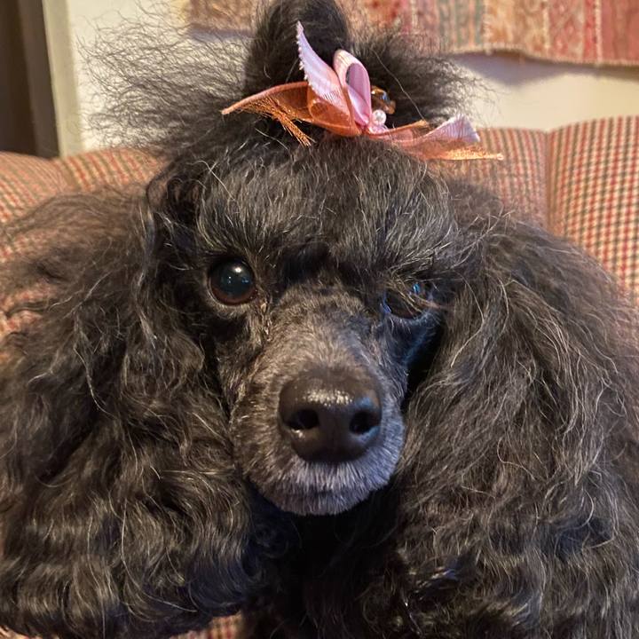 6d4d1669 55e2 440f 9f1b 2e782aeeb4a5 1660778053319