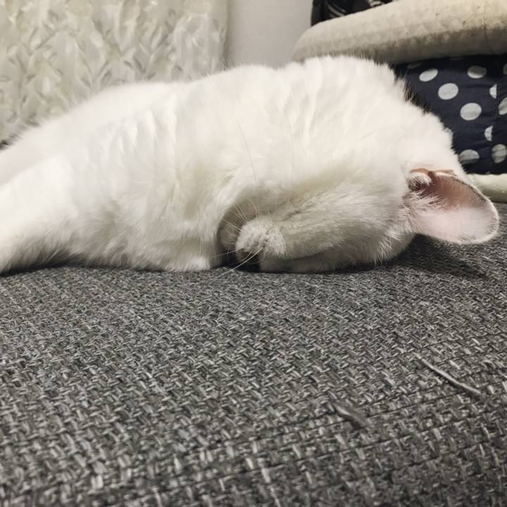 6d4d4b6d 0141 4c02 8dcb 13611029f4dd 1565952400537