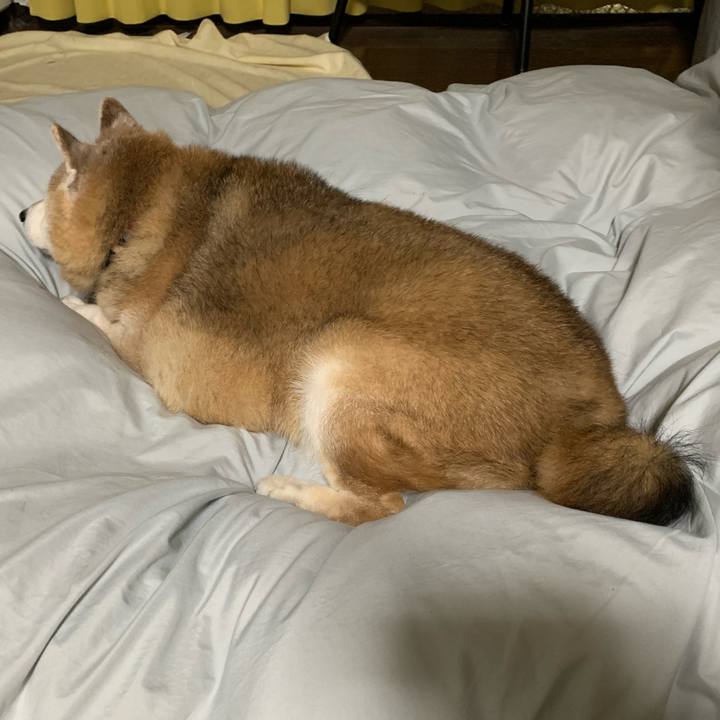 6d4e08f7 d4f3 4f25 9bf0 4b5bc30b7989 1674227774386