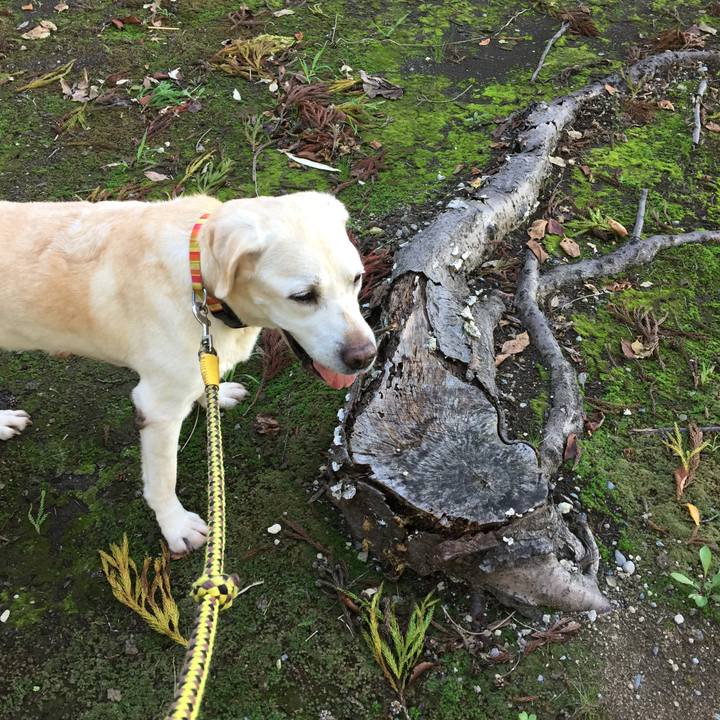 6d4e19d9 326e 4373 97e8 e1cc560322c4 1537311434556