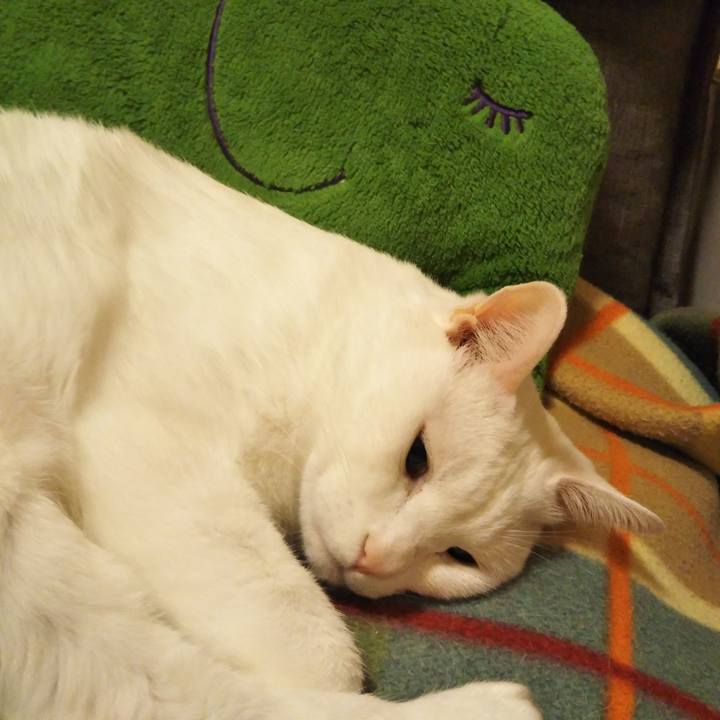 6d4e2258 8137 43aa b0f1 de3049bacdb7 1606750315409