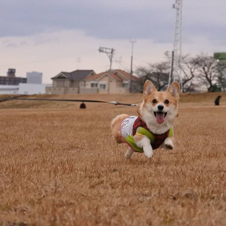 6d4e2f74 b3d7 4d04 834b c84938ee4dd0 1579427315054