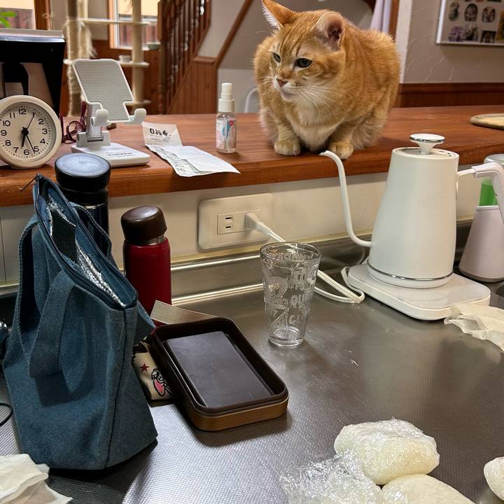 6d4e52fd 78c2 4334 a4e2 09d1f5fc7e11 1685568509435