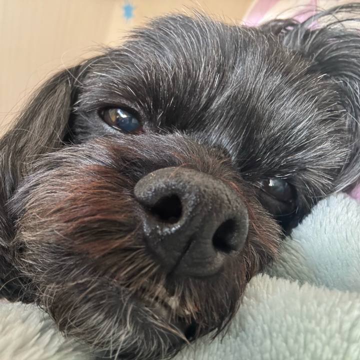 6d4e9670 37f0 4b17 8572 992d2ea779f3 1736748300359