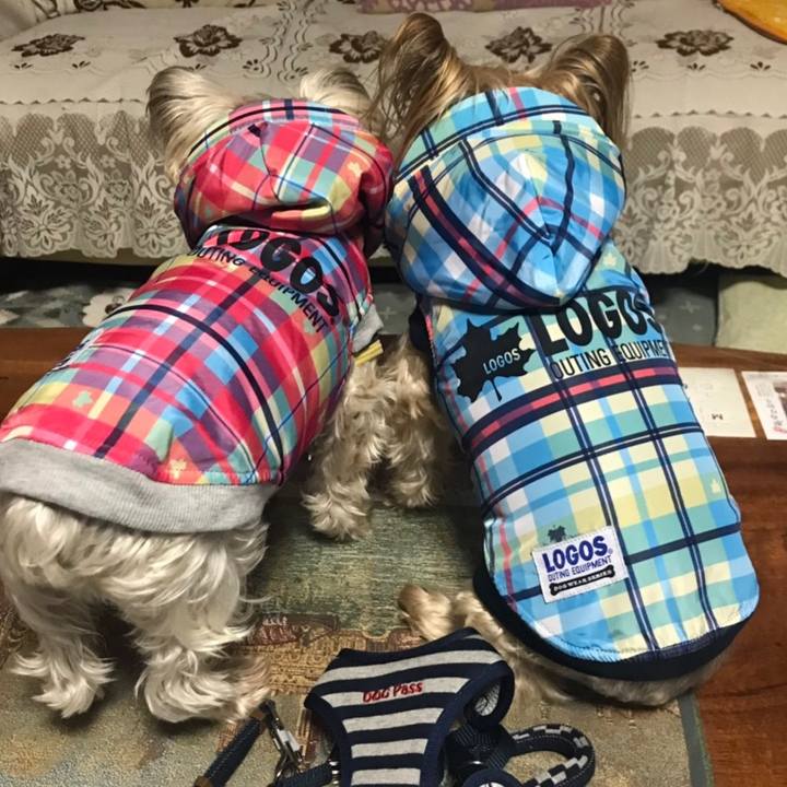 6d4ee6fa e82f 4717 891d b959d46150a9 1576065207538