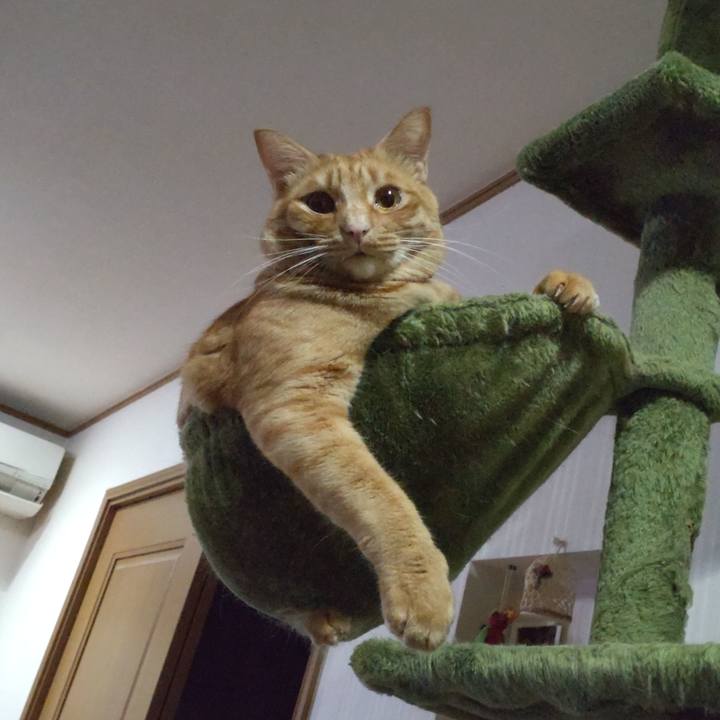 6d4f3433 8641 48ab 910c f3ab4df51e5e 1724226995716