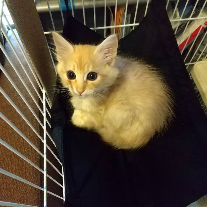 6d4f46f0 7081 4d51 8a0e b11b75009f1b 1603921558599