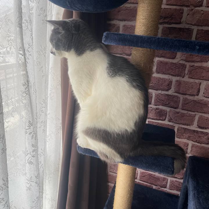 6d4f560b de35 4b7f 8f27 fa9ef1c84aee 1716164131692