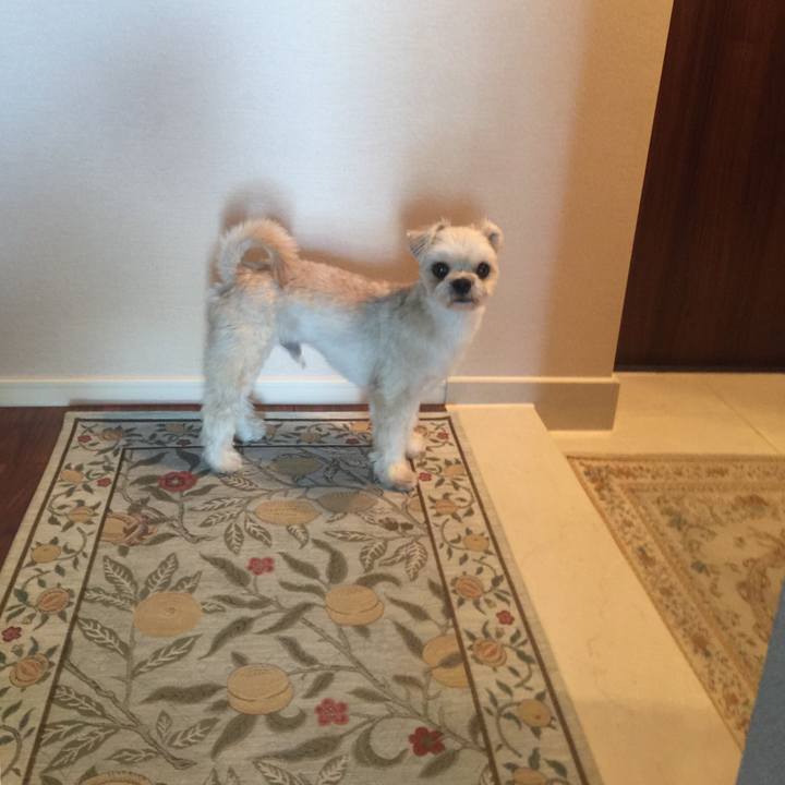 6d4f82e6 9165 4d3f 970a d6b18ce2caf2 1540105199135