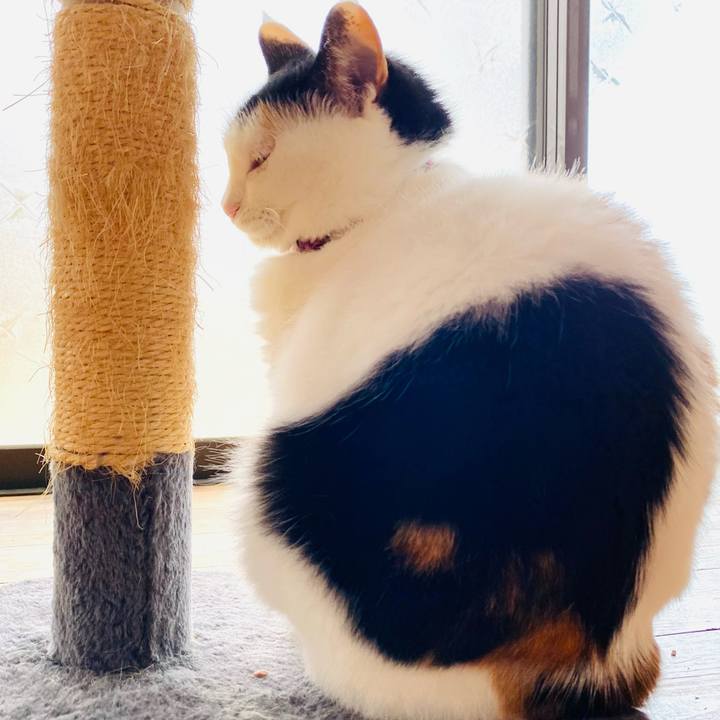 6d4fa91c 0923 4ddf bcb9 058640468eb7 1686459864499