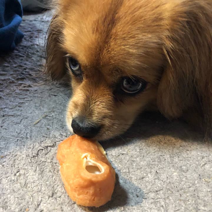 6d4fce35 f93c 48d2 b905 da9859c15bdf 1556142151172