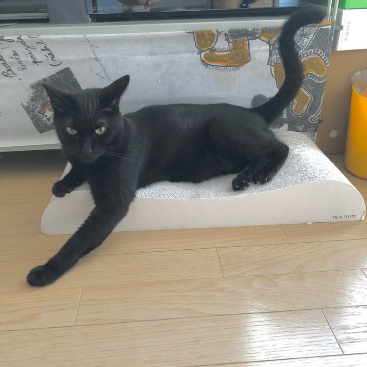 6d4fde6c ecd0 4715 be5a 92093f77aaf3 1627170049641