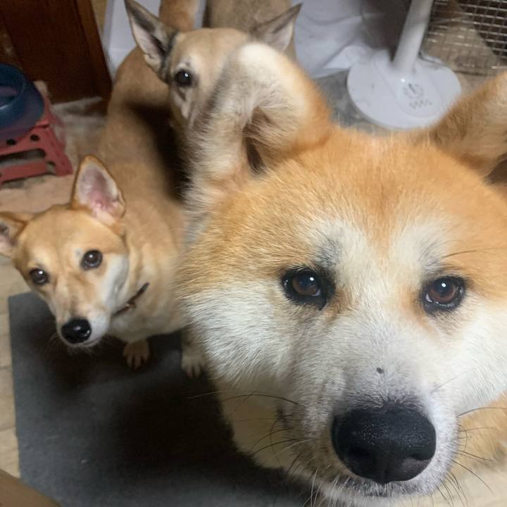 6d503a5d 392e 4f2a afcb d9ee8c77417a 1721550149299