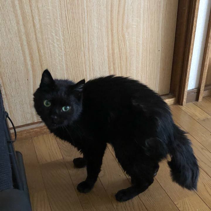 6d505f5c f28f 439a aa6f c97f718e7443 1627373448510