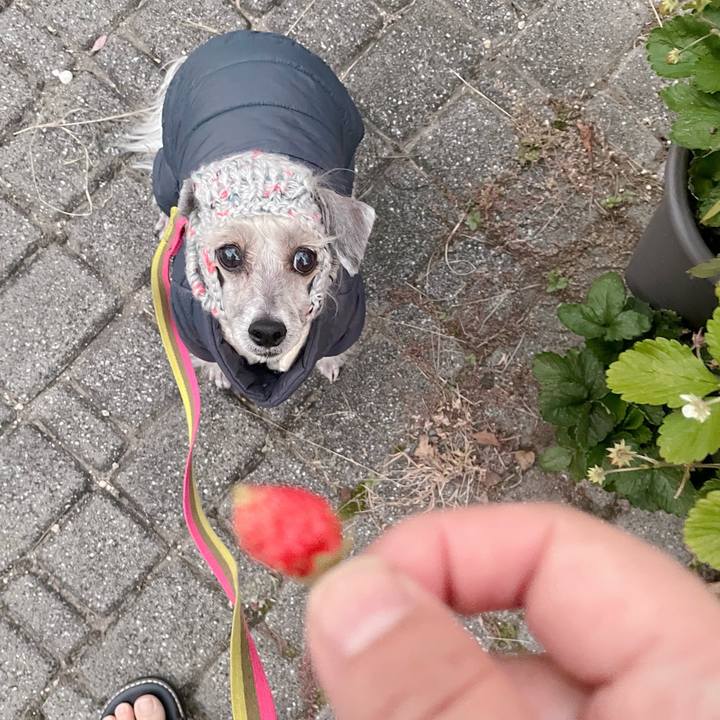 6d508041 7e91 4e65 9bc3 7980bcd5c6d4 1763368100772