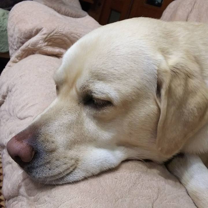 6d508142 8143 479d 8bc8 092d07aa4425 1573805458923