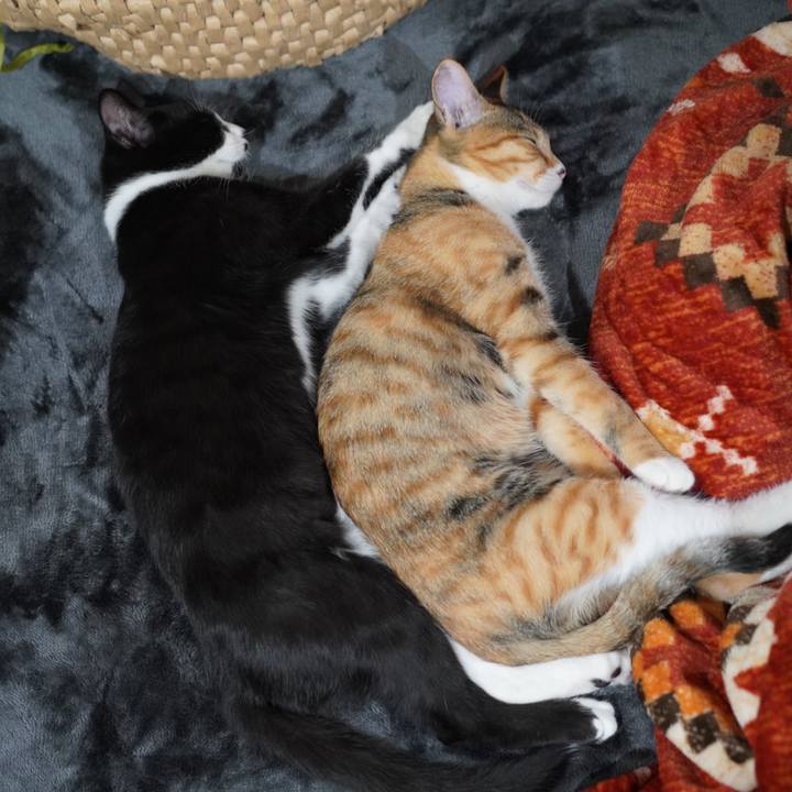 6d508323 ae61 4aa1 89cf bcdf14ea4fcf 1577026596249