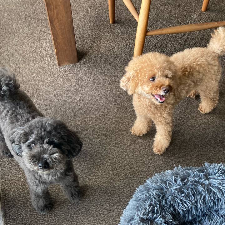 6d509920 f9e6 4745 a8b0 d220e49b9710 1691025853830