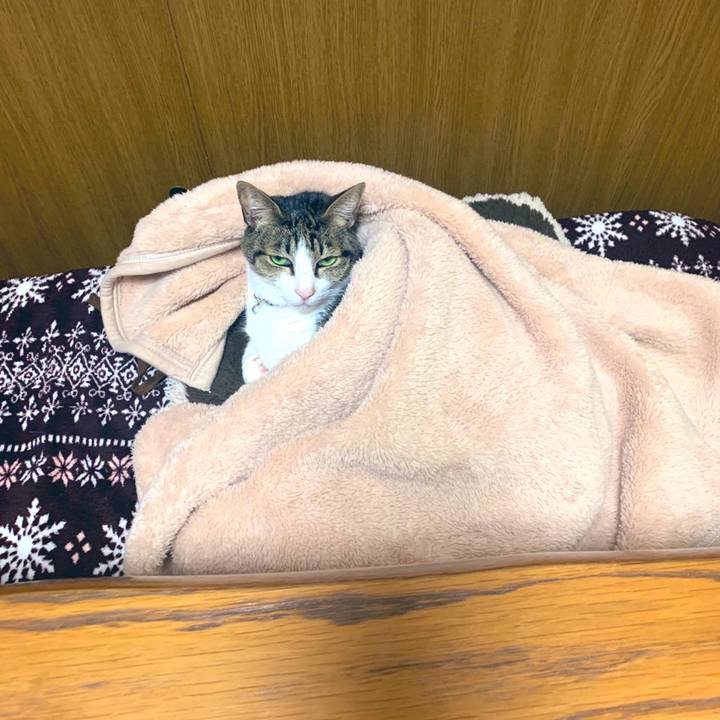 6d50beab 103e 486d a49b 68eceb8aca99 1576552445725