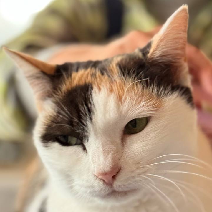 6d50d2de 95aa 48cf 8709 b20c092af783 1736561495146