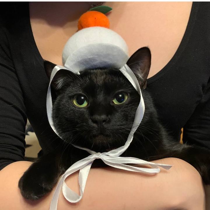 6d50d607 a066 4e38 9913 a30d2d233a01 1608558029404