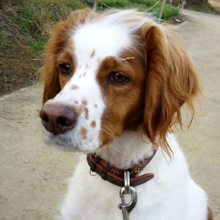 6d50f380 9715 4961 b09a b610a02661ff 1513383445523