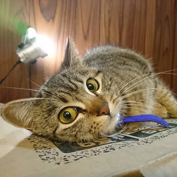 6d513c19 8f82 4937 a496 9ff1f066ed34 1550841491746