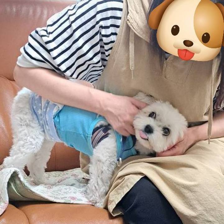 6d514982 5764 4f12 9c00 37228128f778 1758694729006