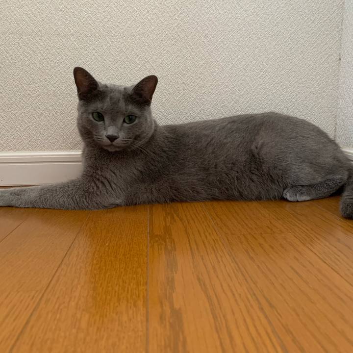 6d516b3d 7bdc 437a a9c4 d24bba0180d7 1597390204804