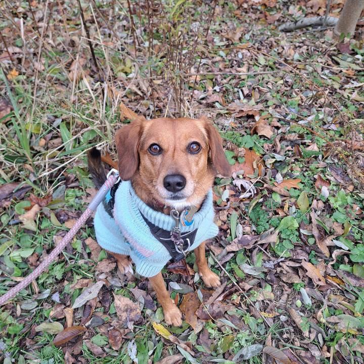 6d5182d1 fe60 44b1 81a2 8589eac8a014 1763346616778