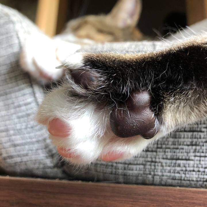 6d5185ff 2910 4dd1 95dd 43642dea7791 1592962614441