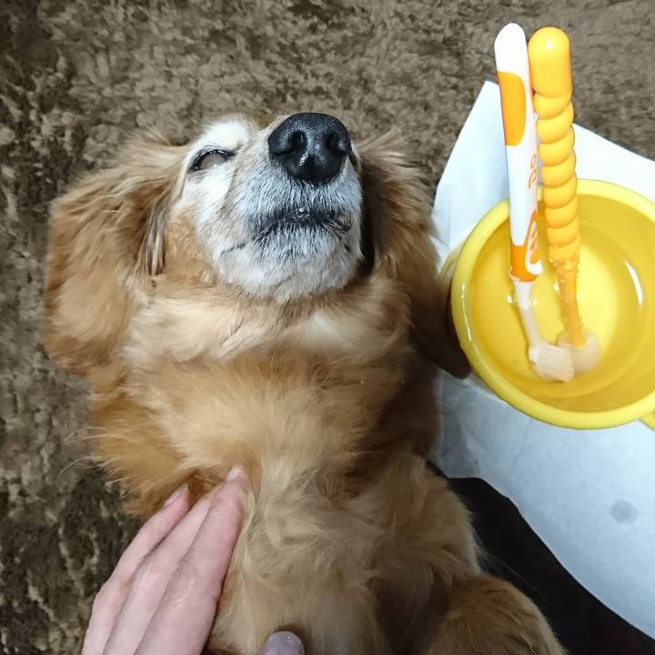 6d51d158 1429 45b0 ab8a bc3d6df0bb7b 1516297639200