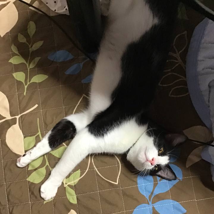 6d51e9d7 581a 4837 a759 8167a43ea7ed 1633071586649