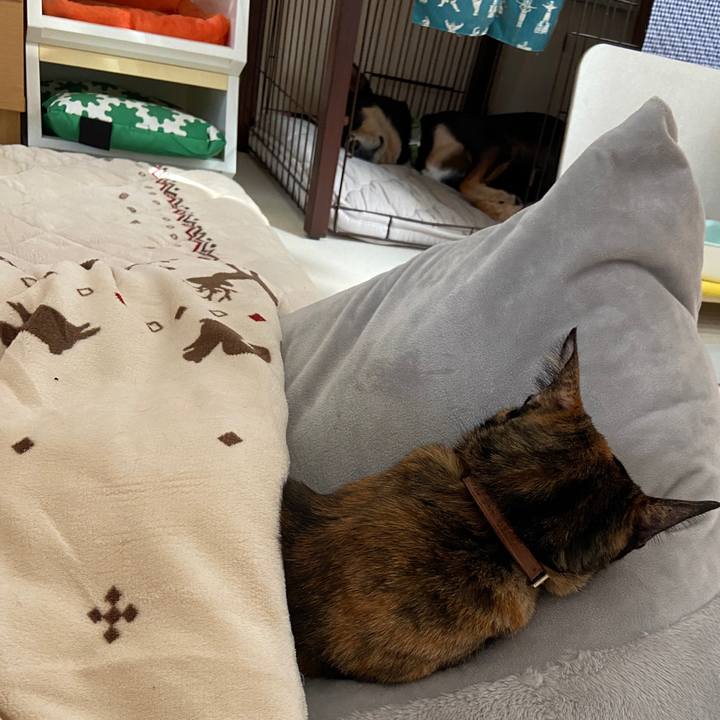 6d51f750 200d 44ea a6e4 bef2d5d03879 1637467694227