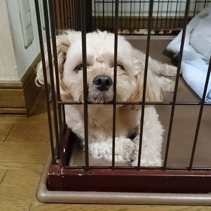 6d523450 8d7f 4807 991f 5f3101af7b3e 1535267758133