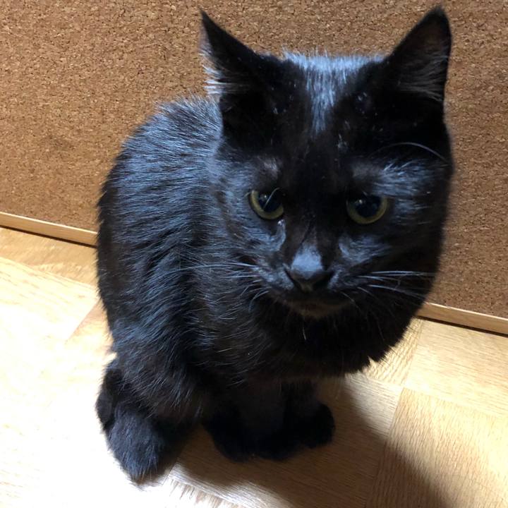 6d528c51 b37b 4449 ad3a 6d1a8522eb75 1570180721271