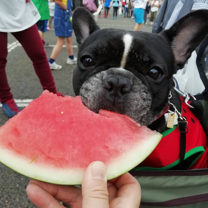 6d528fa1 6f97 476f 90cc 2f52e1e48dfc 1561289664815