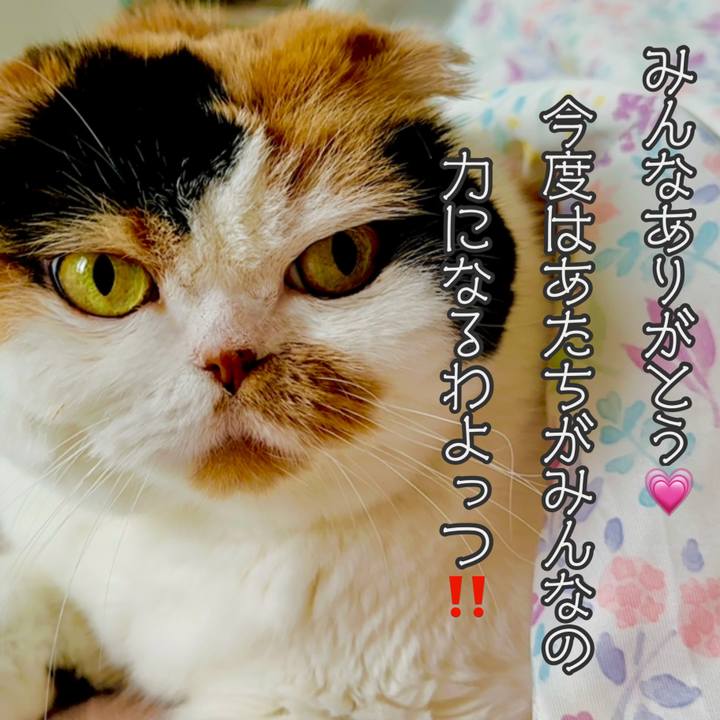 6d52b3da f116 4fd5 9aae e73fbcc80a46 1727966554047