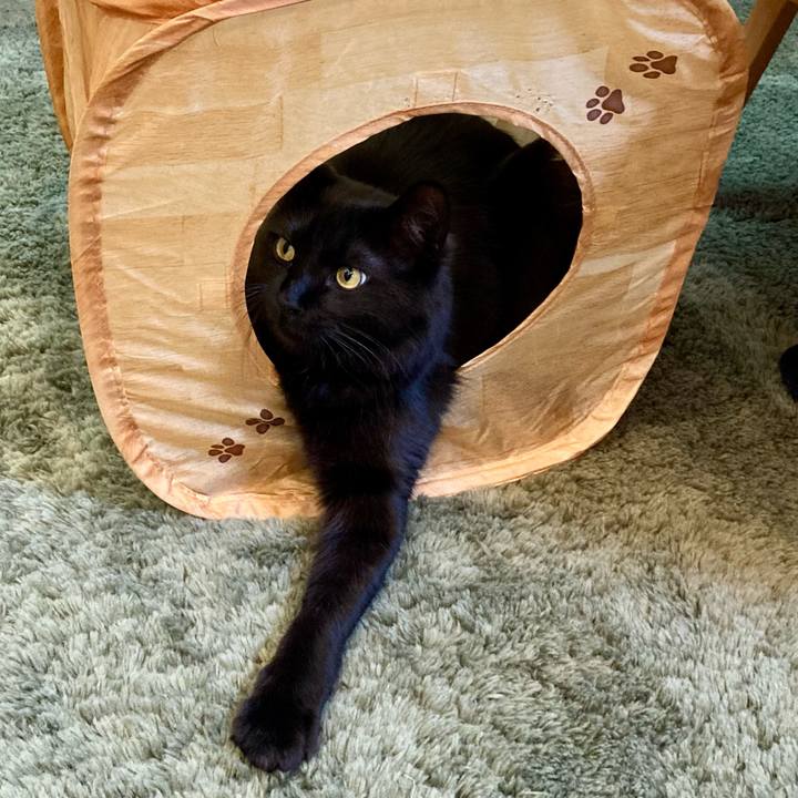 6d52bfb0 dda6 4af1 a0d7 379116b32d67 1738484120774