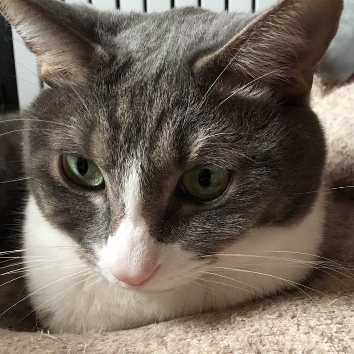 6d52c189 eff5 45cf b3cb b4191bb51803 1542927559624