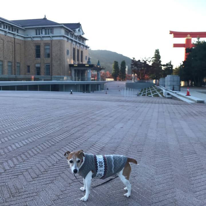 6d52cd91 d8f2 4c47 a70d 8114e954647b 1575021398417